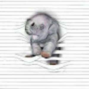 Meet your Posher, Davina